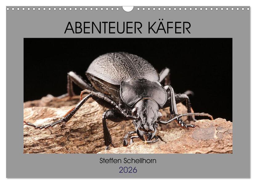 ABENTEUER KÄFER (Wandkalender 2026 DIN A3 quer) CALVENDO Monatskalender