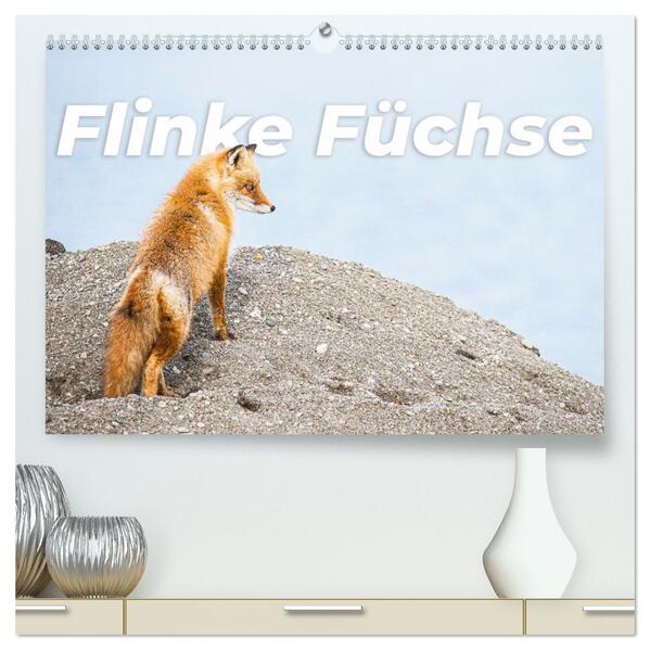 Flinke Füchse (hochwertiger Premium Wandkalender 2026 DIN A2 quer) Kunstdruck in Hochglanz