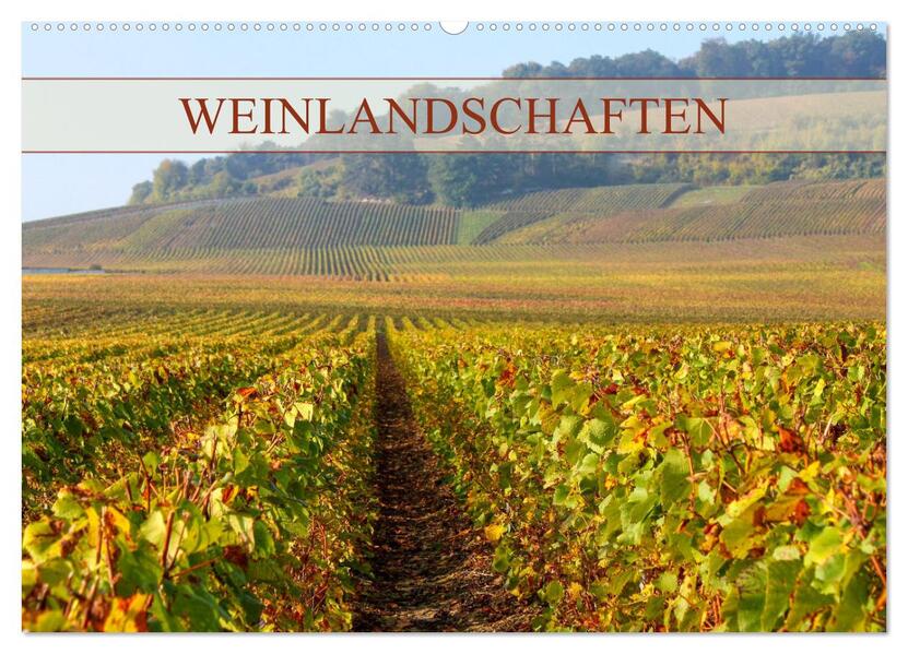 Weinlandschaften (Wandkalender 2026 DIN A2 quer) CALVENDO Monatskalender