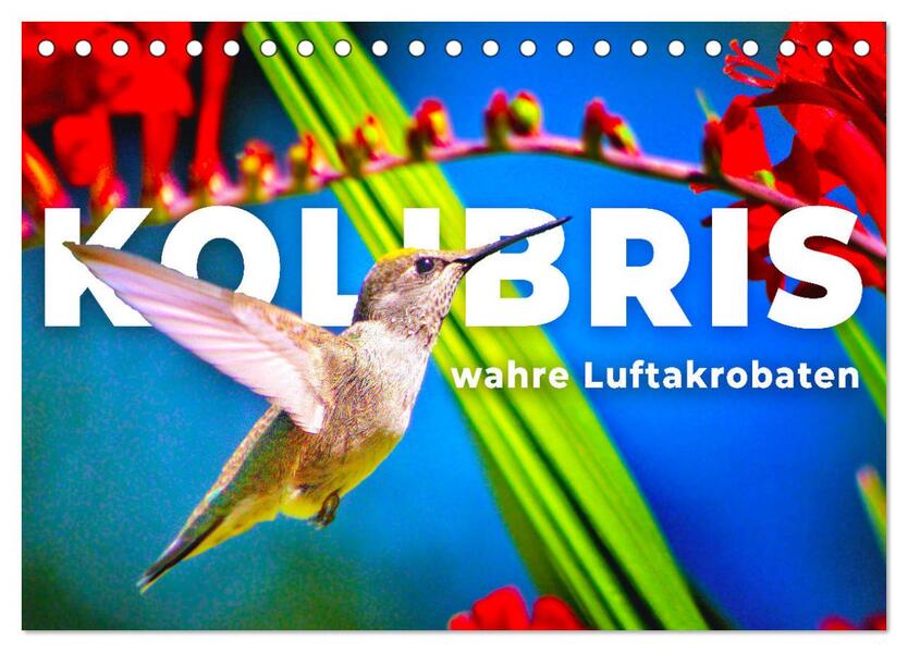 Kolibris - wahre Luftakrobaten (Tischkalender 2026 DIN A5 quer) CALVENDO Monatskalender