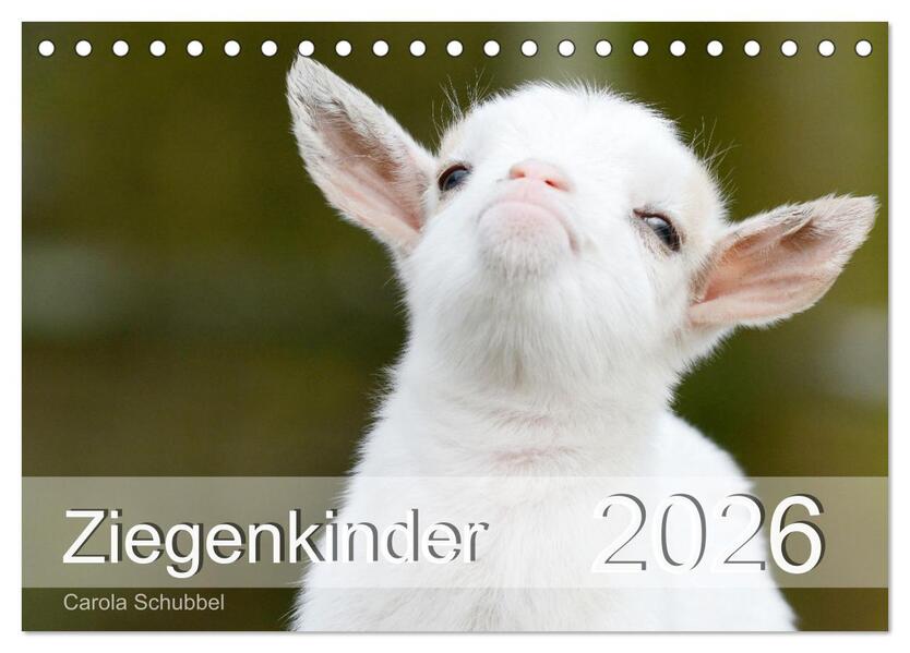 Ziegenkinder (Tischkalender 2026 DIN A5 quer) CALVENDO Monatskalender