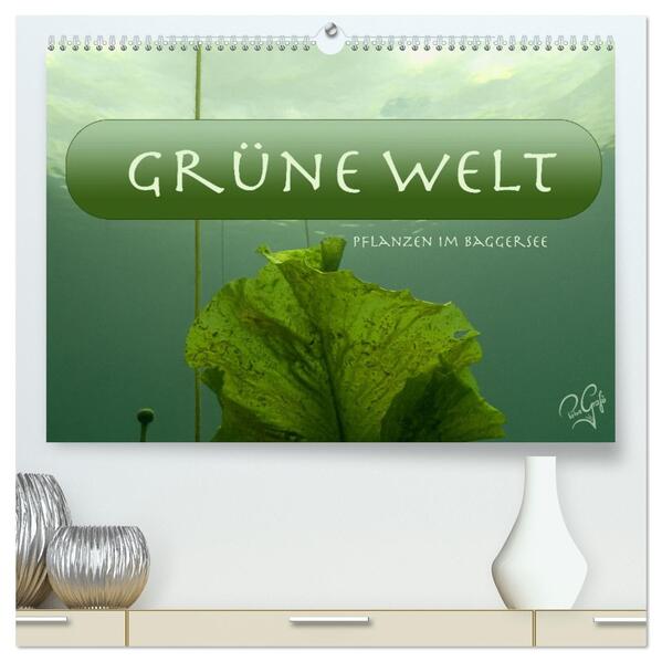 Baggersee - die grüne Welt (hochwertiger Premium Wandkalender 2026 DIN A2 quer) Kunstdruck in Hochglanz
