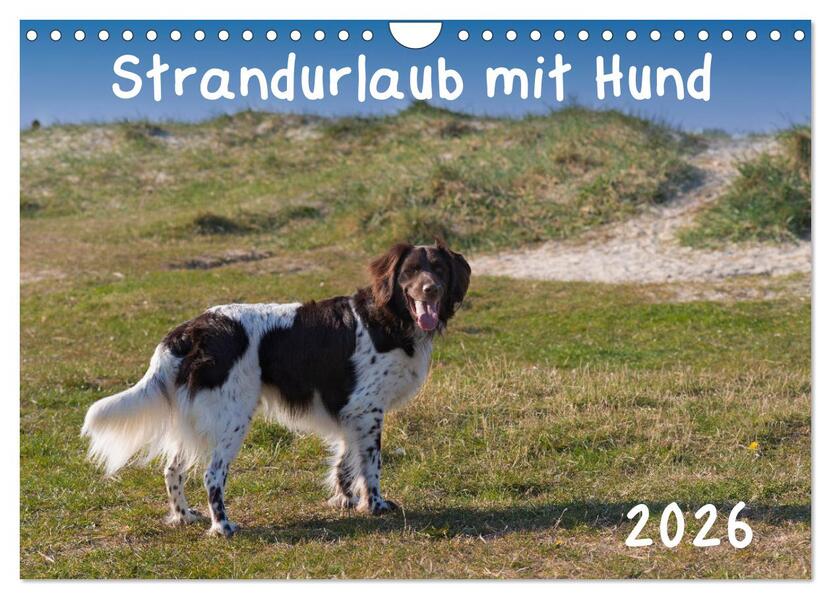Strandurlaub mit Hund (Wandkalender 2026 DIN A4 quer) CALVENDO Monatskalender