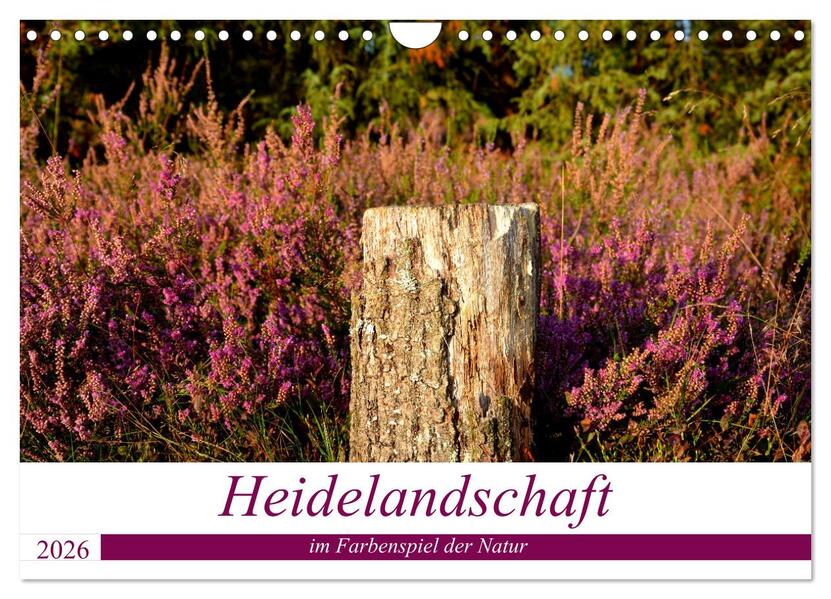 Heidelandschaft im Farbenspiel der Natur (Wandkalender 2026 DIN A4 quer) CALVENDO Monatskalender