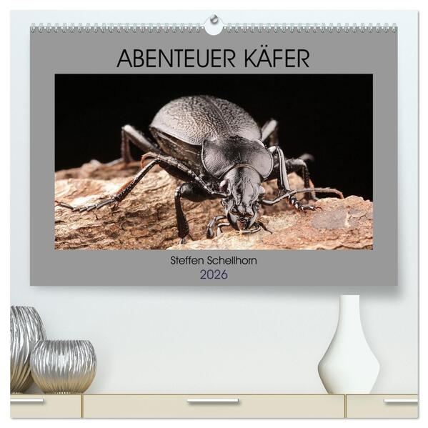 ABENTEUER KÄFER (hochwertiger Premium Wandkalender 2026 DIN A2 quer) Kunstdruck in Hochglanz