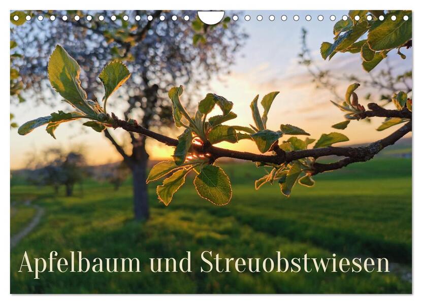 Apfelbaum und Streuobstwiesen (Wandkalender 2026 DIN A4 quer) CALVENDO Monatskalender