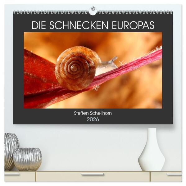 DIE SCHNECKEN EUROPAS (hochwertiger Premium Wandkalender 2026 DIN A2 quer) Kunstdruck in Hochglanz