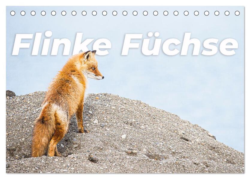 Flinke Füchse (Tischkalender 2026 DIN A5 quer) CALVENDO Monatskalender