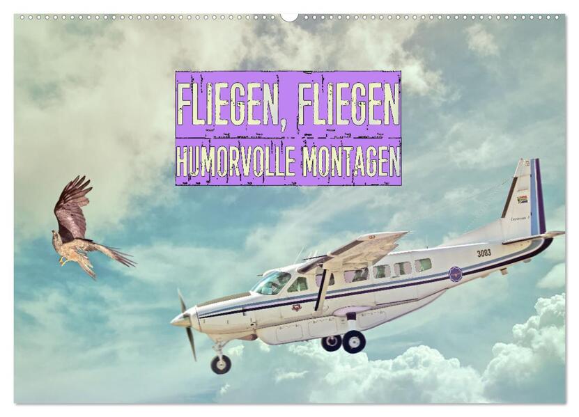 Fliegen Fliegen - humorvolle Montagen (Wandkalender 2026 DIN A2 quer) CALVENDO Monatskalender
