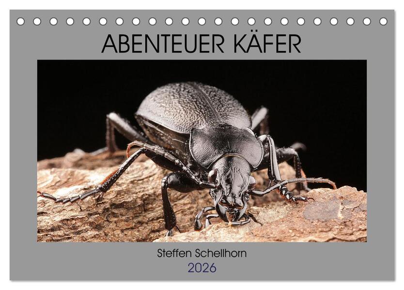 ABENTEUER KÄFER (Tischkalender 2026 DIN A5 quer) CALVENDO Monatskalender