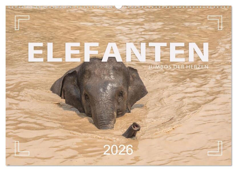ELEFANTEN Jumbos der Herzen (Wandkalender 2026 DIN A2 quer) CALVENDO Monatskalender