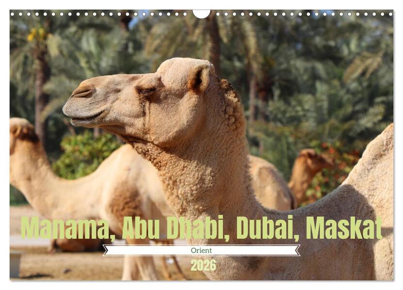 Orient - Manama Abu Dhabi Dubai Maskat (Wandkalender 2026 DIN A3 quer) CALVENDO Monatskalender