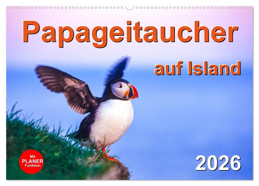Papageitaucher auf Island (Wandkalender 2026 DIN A2 quer) CALVENDO Monatskalender