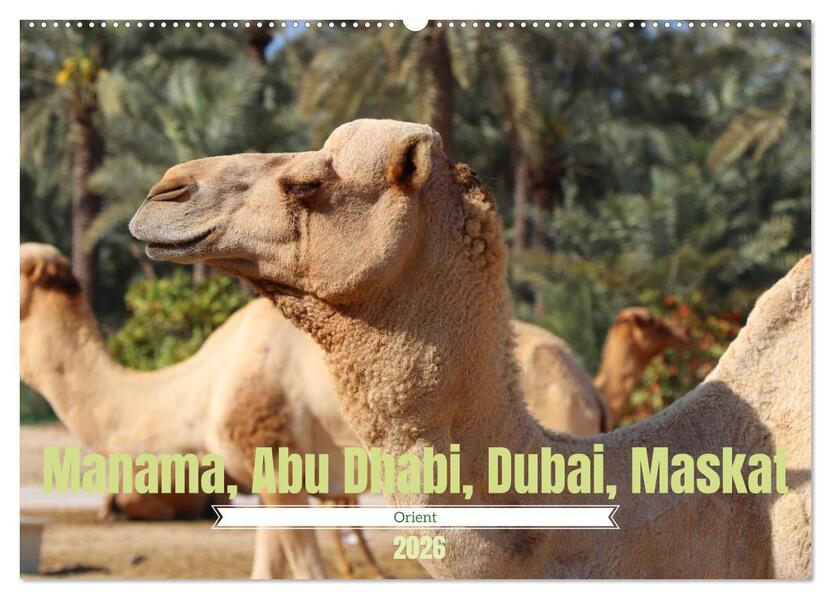 Orient - Manama Abu Dhabi Dubai Maskat (Wandkalender 2026 DIN A2 quer) CALVENDO Monatskalender