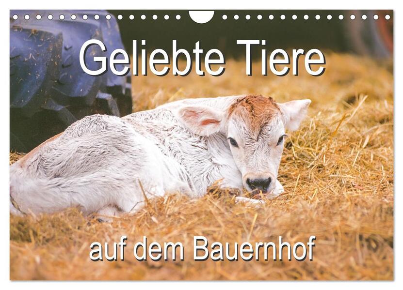 Geliebte Tiere auf dem Bauernhof (Wandkalender 2026 DIN A4 quer) CALVENDO Monatskalender