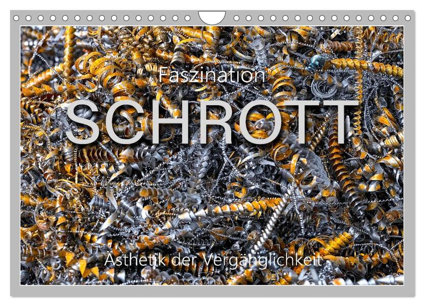 Faszination Schrott (Wandkalender 2026 DIN A4 quer) CALVENDO Monatskalender