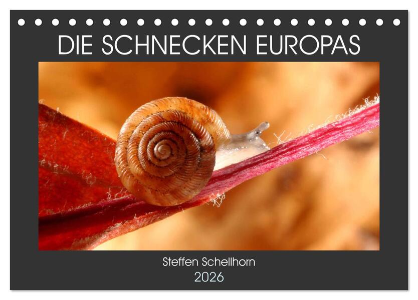 DIE SCHNECKEN EUROPAS (Tischkalender 2026 DIN A5 quer) CALVENDO Monatskalender