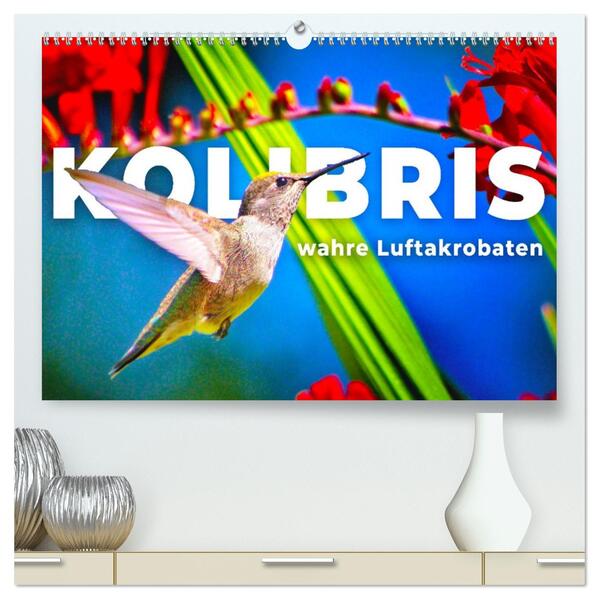Kolibris - wahre Luftakrobaten (hochwertiger Premium Wandkalender 2026 DIN A2 quer) Kunstdruck in Hochglanz