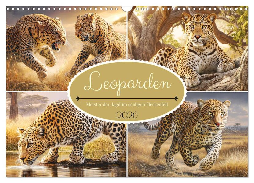 Leoparden. Meister der Jagd im seidigen Fleckenfell (Wandkalender 2026 DIN A3 quer) CALVENDO Monatskalender