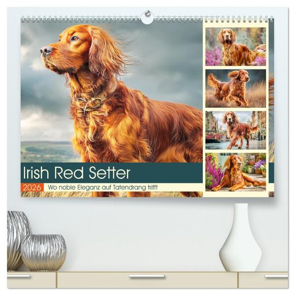 Irish Red Setter. Wo noble Eleganz auf Tatendrang trifft (hochwertiger Premium Wandkalender 2026 DIN A2 quer) Kunstdruck in Hochglanz