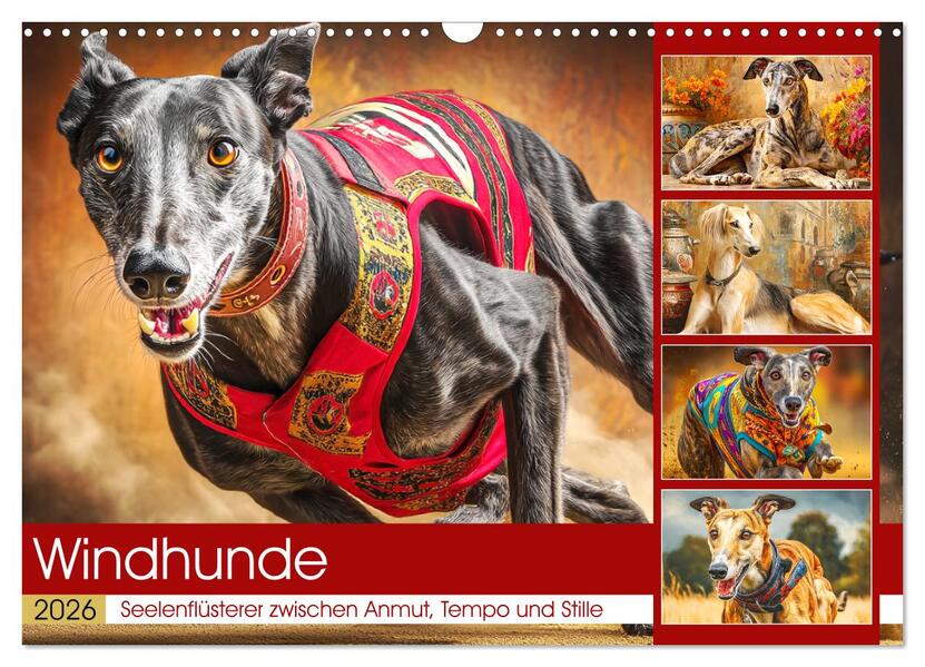 Windhunde. Seelenflüsterer zwischen Anmut Tempo und Stille (Wandkalender 2026 DIN A3 quer) CALVENDO Monatskalender