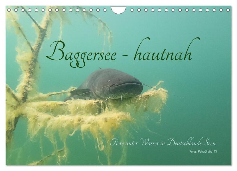 Baggersee -hautah (Wandkalender 2026 DIN A4 quer) CALVENDO Monatskalender