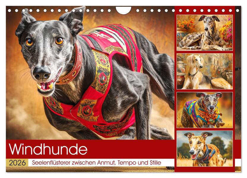 Windhunde. Seelenflüsterer zwischen Anmut Tempo und Stille (Wandkalender 2026 DIN A4 quer) CALVENDO Monatskalender