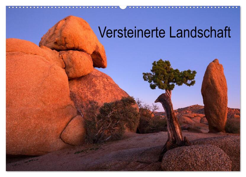 Versteinerte Landschaft (Wandkalender 2026 DIN A2 quer) CALVENDO Monatskalender