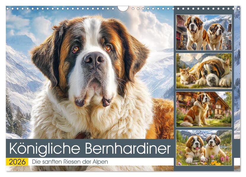 Königliche Bernhardiner. Die sanften Riesen der Alpen (Wandkalender 2026 DIN A3 quer) CALVENDO Monatskalender