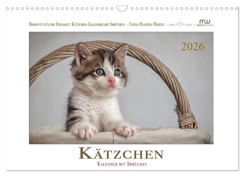 Kätzchen-Kalender mit Sprüchen (Wandkalender 2026 DIN A3 quer) CALVENDO Monatskalender
