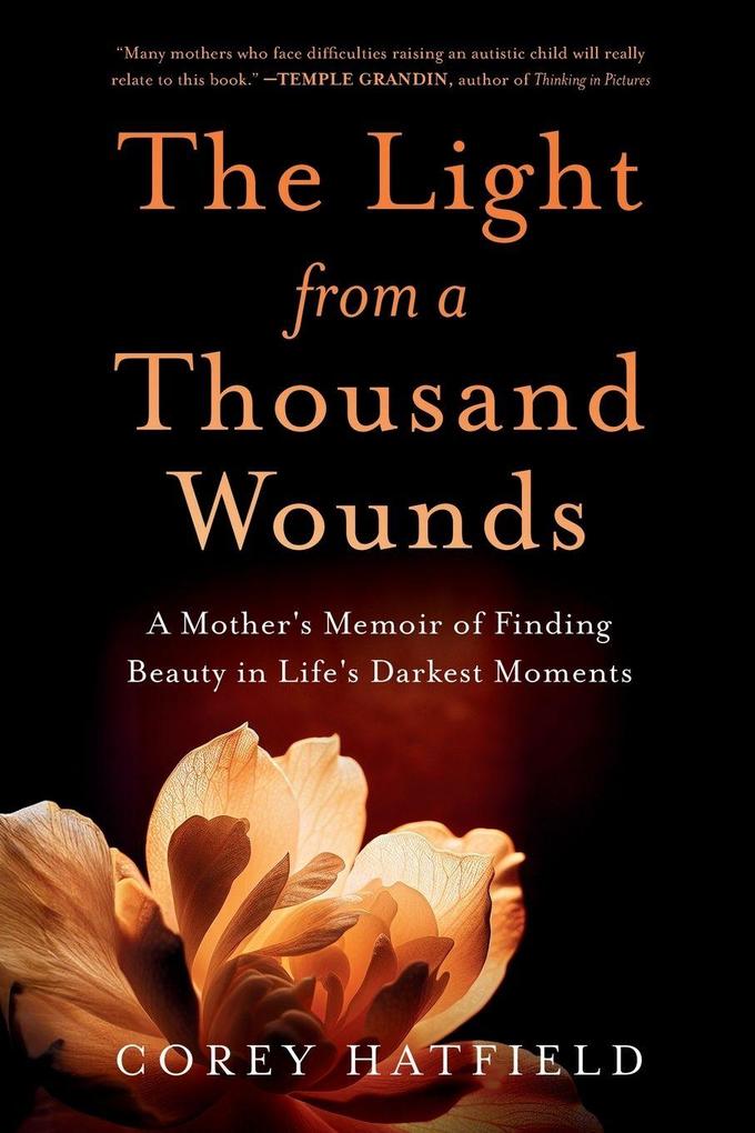 The Light from a Thousand Wounds