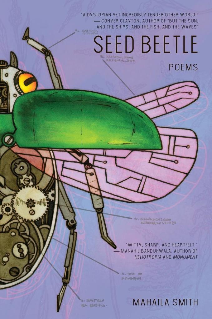 Seed Beetle