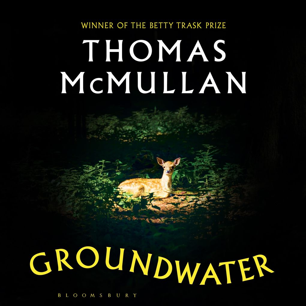Groundwater