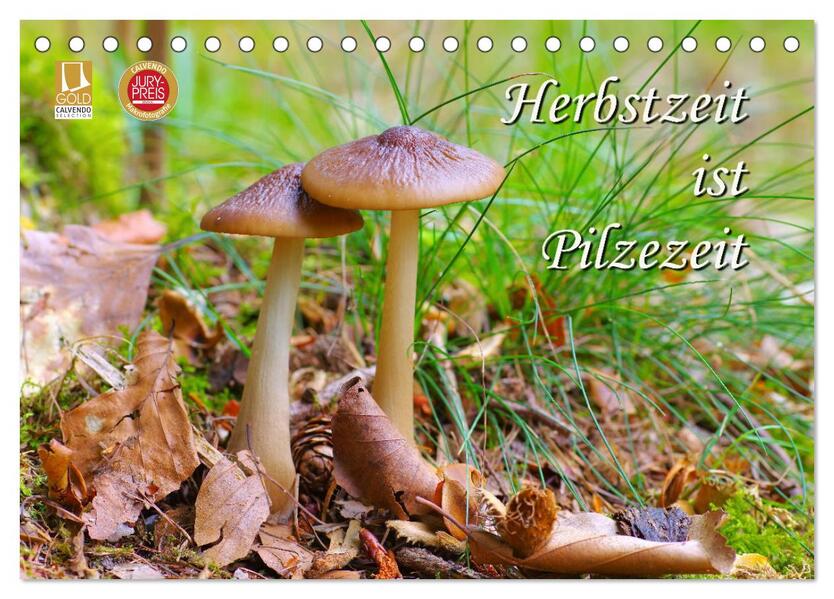 Herbstzeit ist Pilzezeit (Tischkalender 2026 DIN A5 quer) CALVENDO Monatskalender
