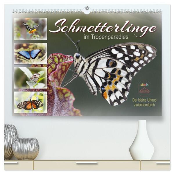 Schmetterlinge im Tropenparadies (hochwertiger Premium Wandkalender 2026 DIN A2 quer) Kunstdruck in Hochglanz