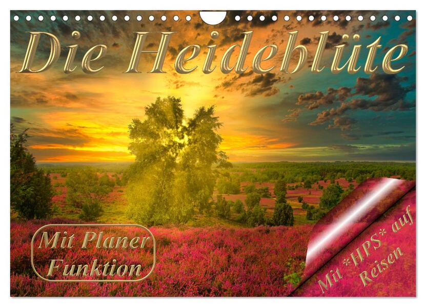 Die Heideblüte (Wandkalender 2026 DIN A4 quer) CALVENDO Monatskalender