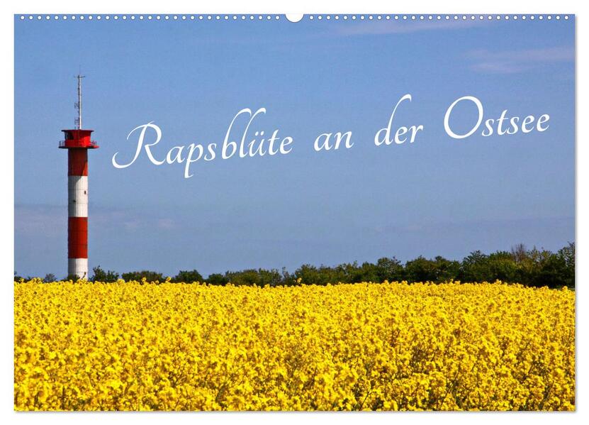 Rapsblüte an der Ostsee (Wandkalender 2026 DIN A2 quer) CALVENDO Monatskalender