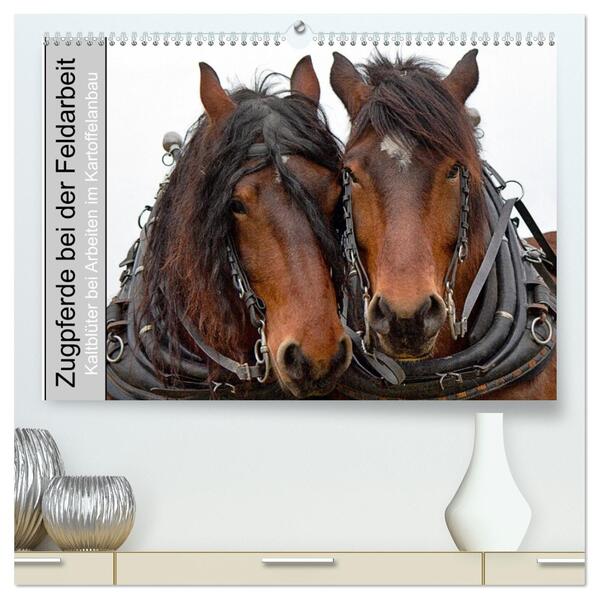 Zugpferde bei der Feldarbeit (hochwertiger Premium Wandkalender 2026 DIN A2 quer) Kunstdruck in Hochglanz