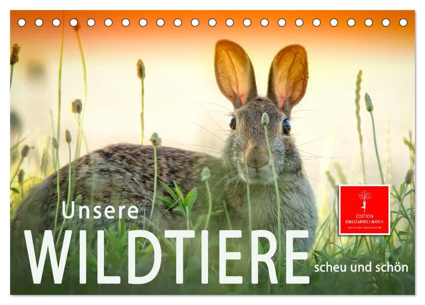 Unsere Wildtiere - scheu und schön (Tischkalender 2026 DIN A5 quer) CALVENDO Monatskalender