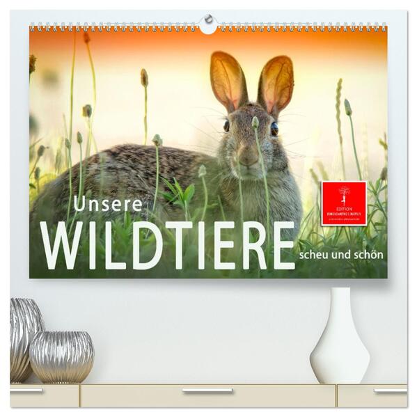 Unsere Wildtiere - scheu und schön (hochwertiger Premium Wandkalender 2026 DIN A2 quer) Kunstdruck in Hochglanz