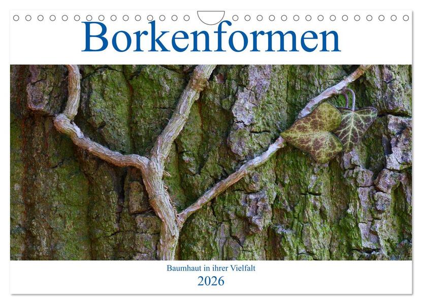 Borkenformen (Wandkalender 2026 DIN A4 quer) CALVENDO Monatskalender