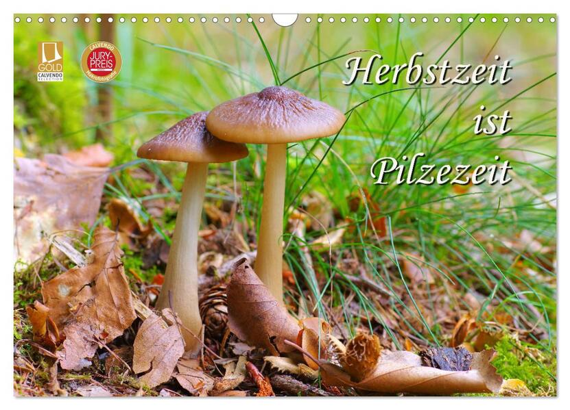 Herbstzeit ist Pilzezeit (Wandkalender 2026 DIN A3 quer) CALVENDO Monatskalender