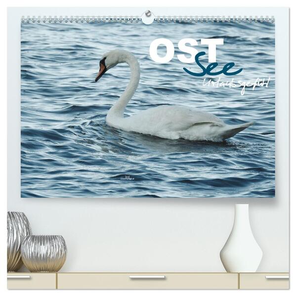 Ostsee - Urlaubsgefühl (hochwertiger Premium Wandkalender 2026 DIN A2 quer) Kunstdruck in Hochglanz