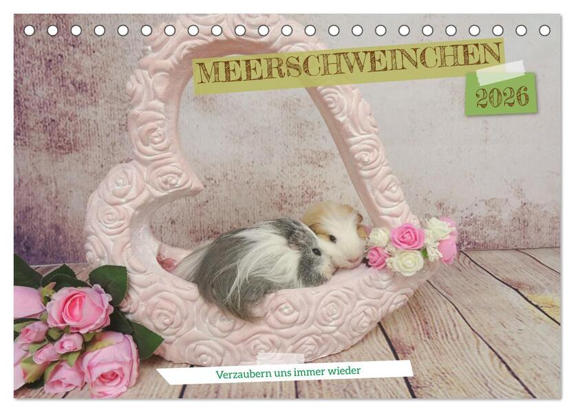 MEERSCHWEINCHEN verzaubern uns immer wieder (Tischkalender 2026 DIN A5 quer) CALVENDO Monatskalender