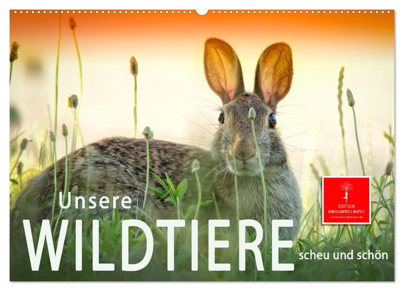 Unsere Wildtiere - scheu und schön (Wandkalender 2026 DIN A2 quer) CALVENDO Monatskalender