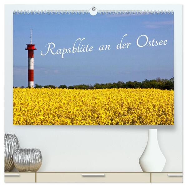 Rapsblüte an der Ostsee (hochwertiger Premium Wandkalender 2026 DIN A2 quer) Kunstdruck in Hochglanz