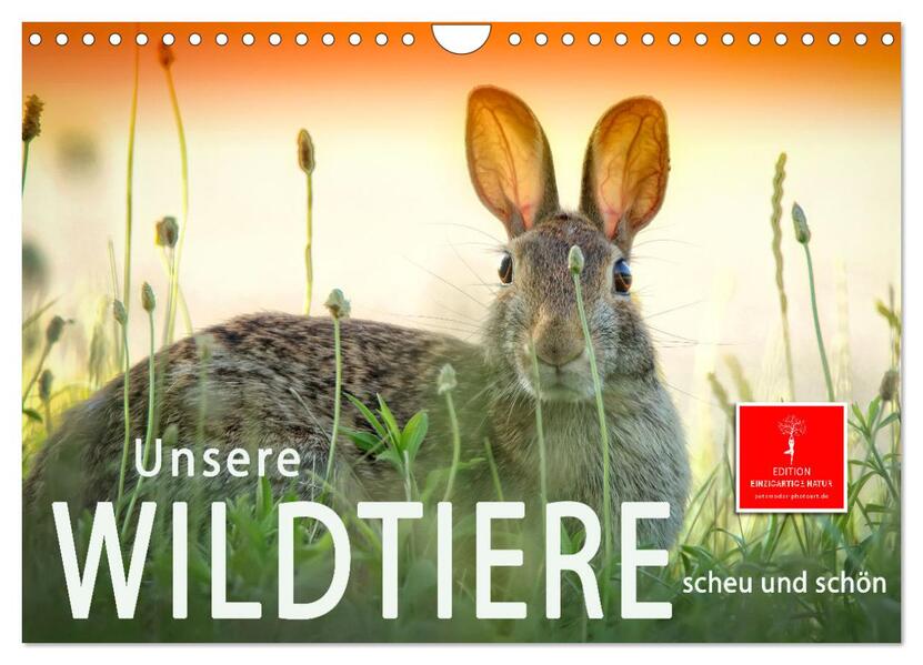 Unsere Wildtiere - scheu und schön (Wandkalender 2026 DIN A4 quer) CALVENDO Monatskalender