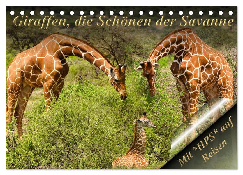 Giraffen die Schönen der Savanne (Tischkalender 2026 DIN A5 quer) CALVENDO Monatskalender