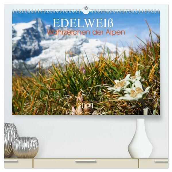 Edelweiß - Wahrzeichen der Alpen (hochwertiger Premium Wandkalender 2026 DIN A2 quer) Kunstdruck in Hochglanz