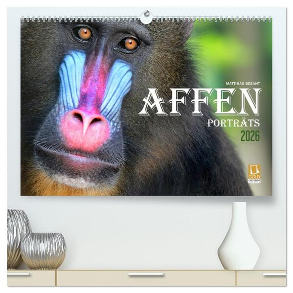 AFFENPORTRÄTS (hochwertiger Premium Wandkalender 2026 DIN A2 quer) Kunstdruck in Hochglanz